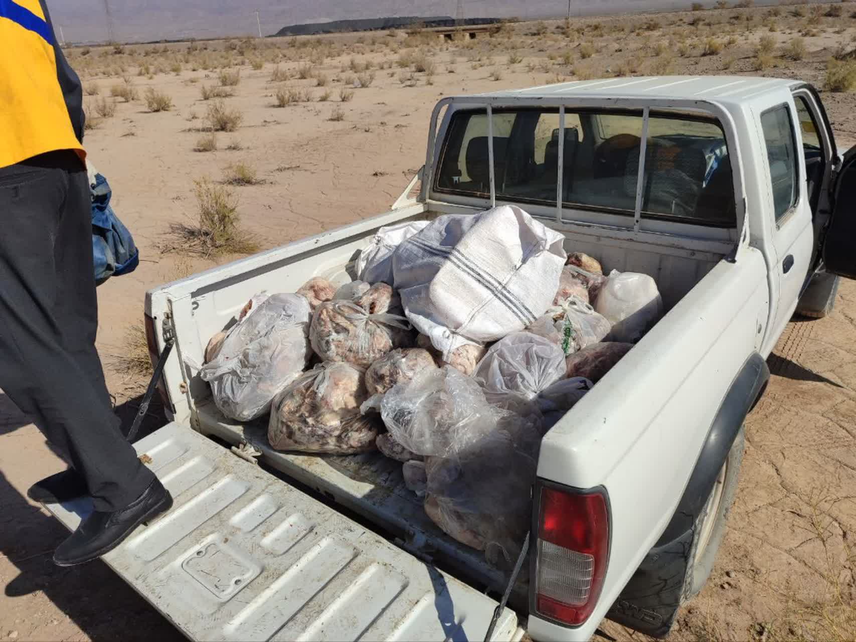 معدوم‌سازی بیش از یک تُن گوشت فاسد و پلمب واحد غیرمجاز خوراک دام در زرند